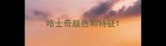 哈士奇颜色和特征