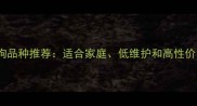 最热门宠物狗品种推荐适合家庭低维护和高性价比的5大选择