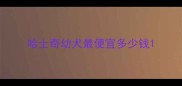 哈士奇幼犬最便宜多少钱