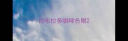 拉布拉多咖啡色眼