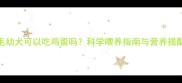 金毛幼犬可以吃鸡蛋吗科学喂养指南与营养搭配全