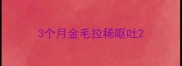 3个月金毛拉稀呕吐