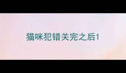 猫咪犯错关完之后