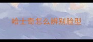 哈士奇怎么辨别脸型