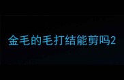 金毛的毛打结能剪吗