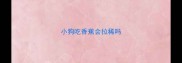 小狗吃香蕉会拉稀吗