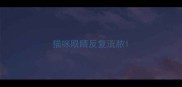 猫咪眼睛反复流脓