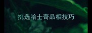 挑选哈士奇品相技巧