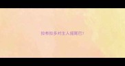 拉布拉多对主人摇尾巴