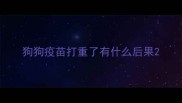 狗狗疫苗打重了有什么后果