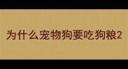 为什么宠物狗要吃狗粮