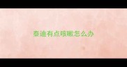 泰迪有点咳嗽怎么办