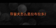导盲犬怎么是拉布拉多