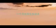 一个月拉布拉多幼犬