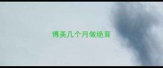博美几个月做绝育