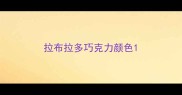 拉布拉多巧克力颜色