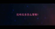 拉布拉多怎么管教