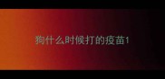 狗什么时候打的疫苗