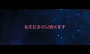 拉布拉多可以晒太阳不