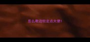 怎么教边牧定点大便