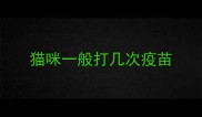 猫咪一般打几次疫苗