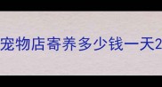 宠物店寄养多少钱一天