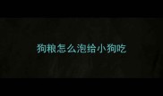 狗粮怎么泡给小狗吃