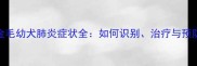 金毛幼犬肺炎症状全如何识别治疗与预防