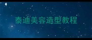 泰迪美容造型教程
