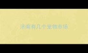 济南有几个宠物市场