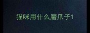 猫咪用什么磨爪子