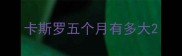 卡斯罗五个月有多大