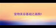 宠物美容基础之画狗