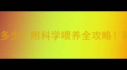 猫咪吃猫草一次吃多少附科学喂养全攻略新手必看养猫知识