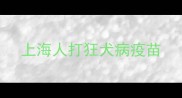 上海人打狂犬病疫苗
