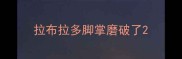 拉布拉多脚掌磨破了