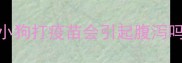 小狗打疫苗会引起腹泻吗