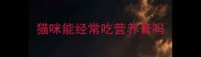 猫咪能经常吃营养膏吗