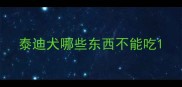 泰迪犬哪些东西不能吃