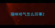 猫咪哈气怎么回事