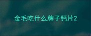 金毛吃什么牌子钙片