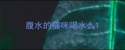 腹水的猫咪喝水么