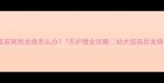 狗狗打完疫苗突然发烧怎么办7天护理全攻略幼犬疫苗后发烧护理指南