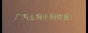 广西土狗小狗体重