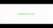 宠物真菌感染用什么药最好