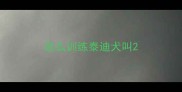 怎么训练泰迪犬叫