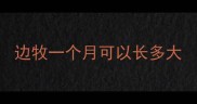 边牧一个月可以长多大