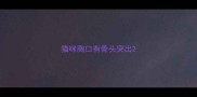猫咪胸口有骨头突出