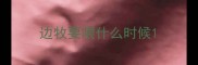 边牧要喂什么时候