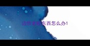 边牧老咬东西怎么办